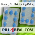 Ginseng For Reinforcing Kidney 20